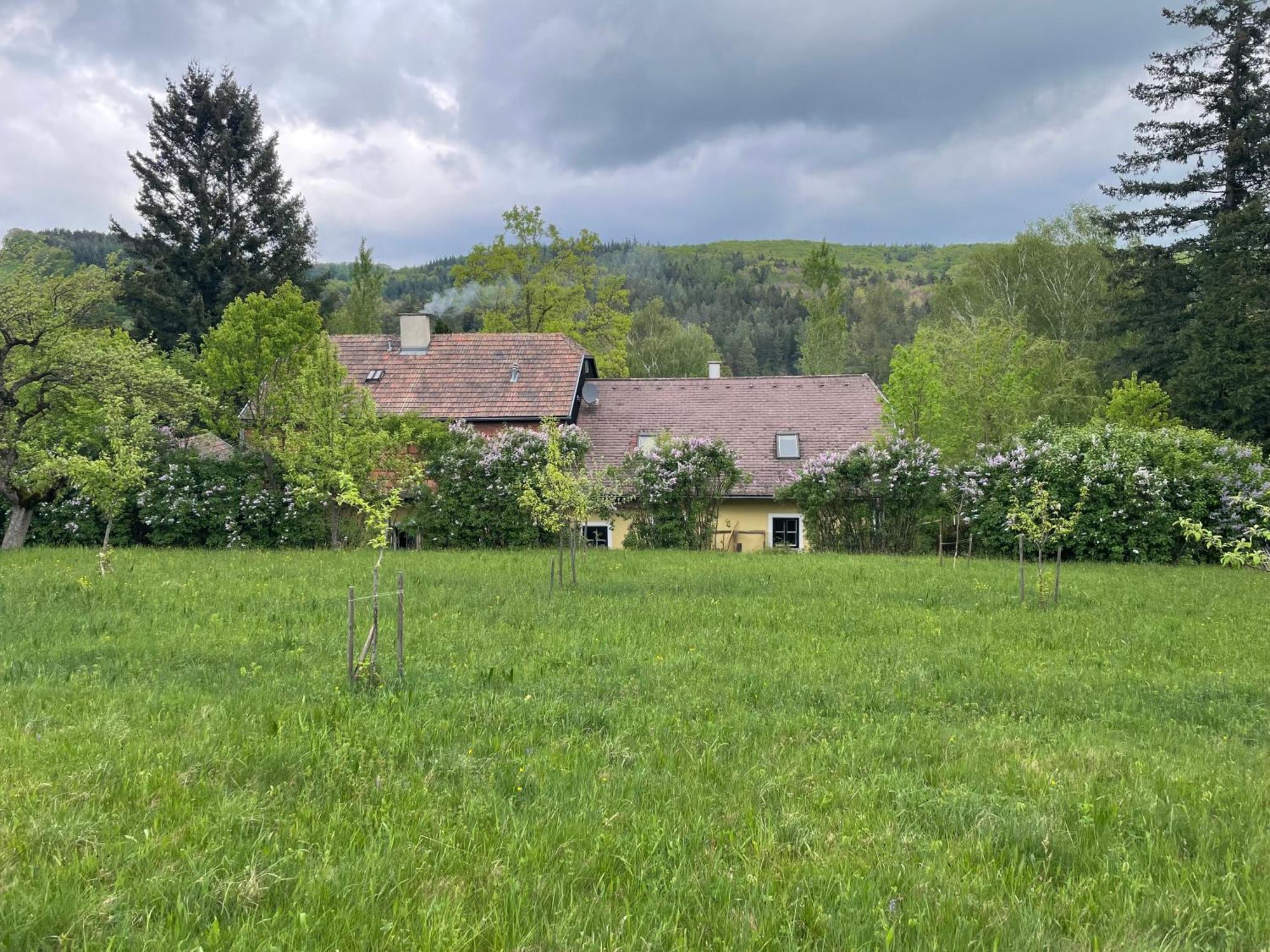Bed&Breakfast Im Gruenen Nah An Wien Brettwies Exteriér fotografie