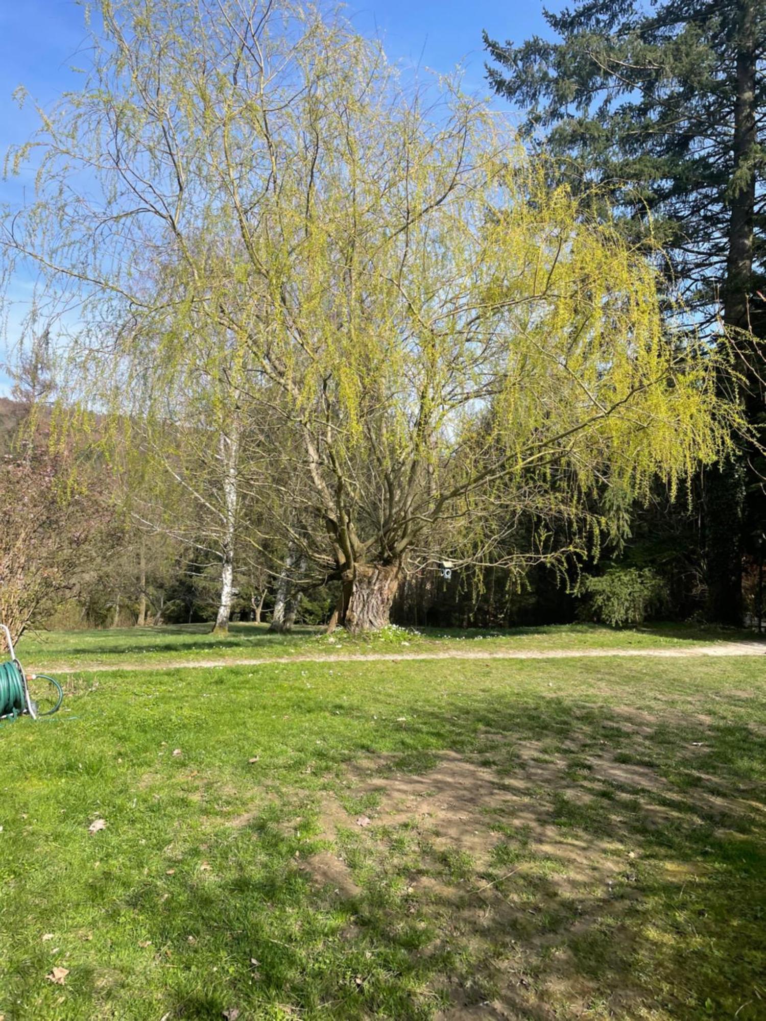 Bed&Breakfast Im Gruenen Nah An Wien Brettwies Exteriér fotografie